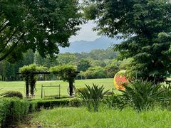 -福建鲤鱼洲酒店