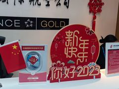 -虹桥机场国航贵宾室v8