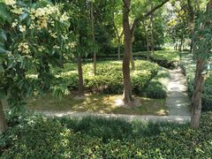 -陈家山荷花公园