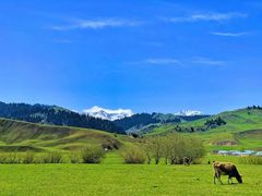 -老街冷水鱼烧烤(河堤夜市店)