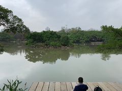 -江心屿景区