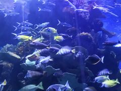 -多彩贵州城极地海洋世界