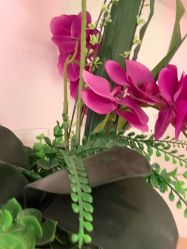 -薇兰专业脱毛连锁机构