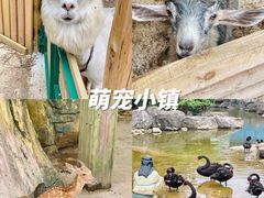 -汕头蓝水星欢乐世界