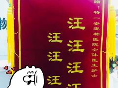 -特一安24小时宠物医院·骨科·中兽医