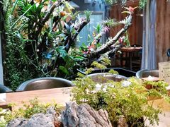 -森味薪火烧•烧鸟居酒屋•日本料理(望京店)