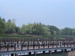-尚贤河湿地