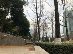 -重庆市江北嘴中央商务区中央公园