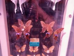 -陕西自然博物馆