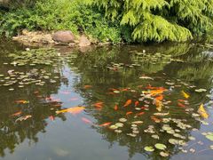 -白马涧龙池景区