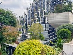 -柴门·头啖汤(天安千树店)