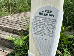 -成都市活水公园