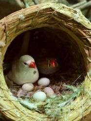 -Zoolung Zoolung动物主题公园(海信广场店)