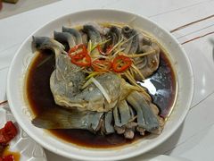 -煲来饱去冷水鱼