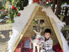 -HERRE·FARM 赫尔露营农场·团建聚会包场