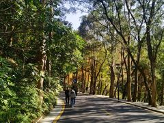 -深圳仙湖植物园-停车场