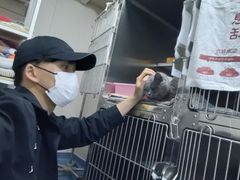 -创凡宠物医院·骨专科  猫科中心(西乡分院)