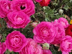 -同济大学(嘉定校区)