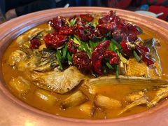 -柿合缘新京菜(国金中心商场店)