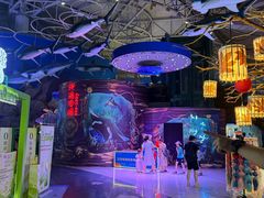 -烟台海昌鲸鲨海洋公园
