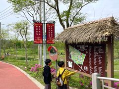 -上海长兴岛郊野公园