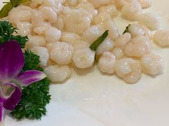 龙井虾仁-新开元大酒店(杭州大关店)