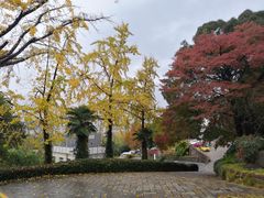 -上海市保健医疗中心(华东疗养院)