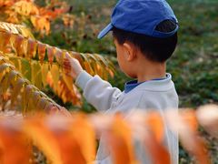 -北运河水利风景区