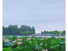-东湖生态旅游风景区