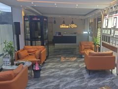 -车艺佳龙膜隐形车衣汽车贴膜(宝山丰宝店)