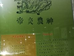 -广东中医药博物馆