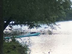 -南宁良凤江国家森林公园