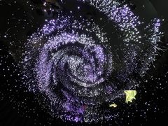 -陕西自然博物馆