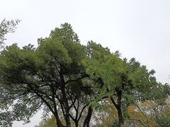 -菊花台公园