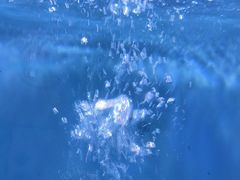 -虾弄弄海派小龙虾·牛羊蝎子火锅