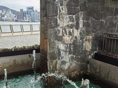 -星光大道