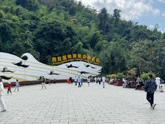 -西双版纳原始森林公园
