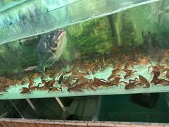 -食理八湘(中海城风情苑北区店)