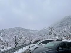 -四明山国家森林公园