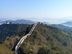 -黄贤森林公园