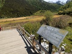 -稻城亚丁景区-冲古草甸