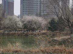 -长白岛森林公园