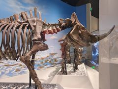 -国家自然博物馆