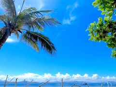 -瑰丽酒店·海吧·天际下午茶·现场DJ·天台酒吧