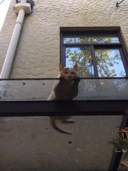 -M Nails & Beauty美甲美睫美体