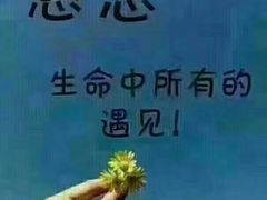 -City1+1城市比萨·意面(桂林路店)