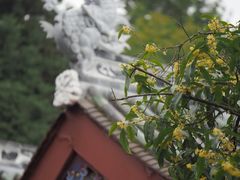 -成都杜甫草堂博物馆