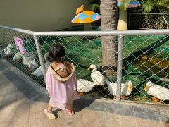 -三亚亚龙湾天域度假酒店