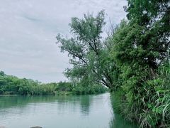 -西溪国家湿地公园