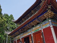 -玉苍山国家森林公园
